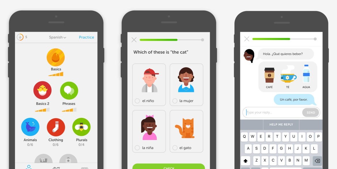 Download the Duolingo App and Learn Languages Quickly and Conveniently