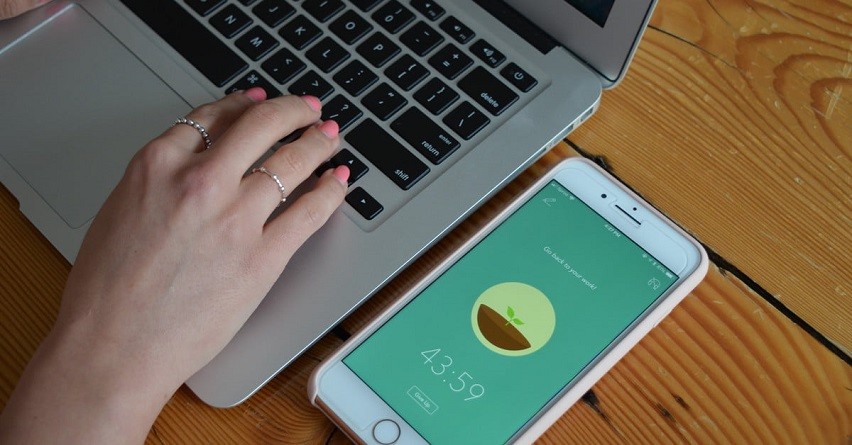 Stay Focused and Increase Productivity with the Forest App